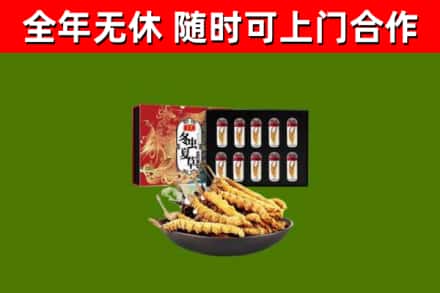福鼎烟酒回收冬虫夏草礼盒.jpg